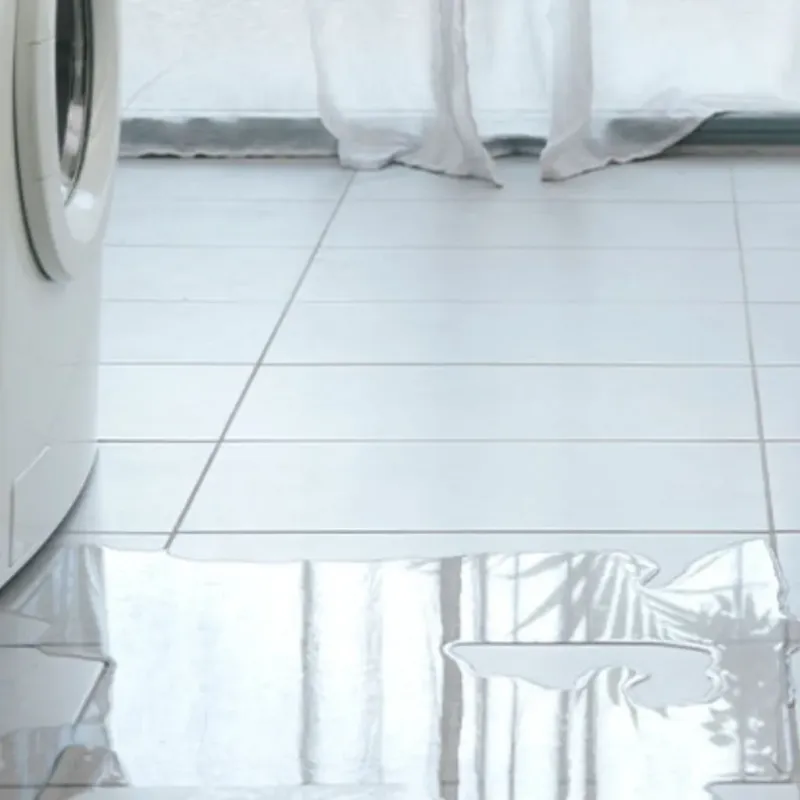 Appliance Leak Cleanup in Lunenburg, VA
