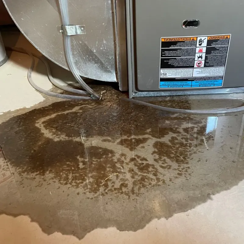 Pipe Burst and Leak Restoration in Lunenburg, VA