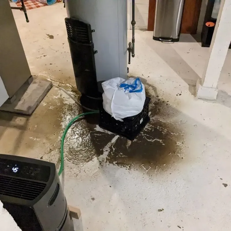 Sewage Backup Cleanup Service in Lunenburg, VA